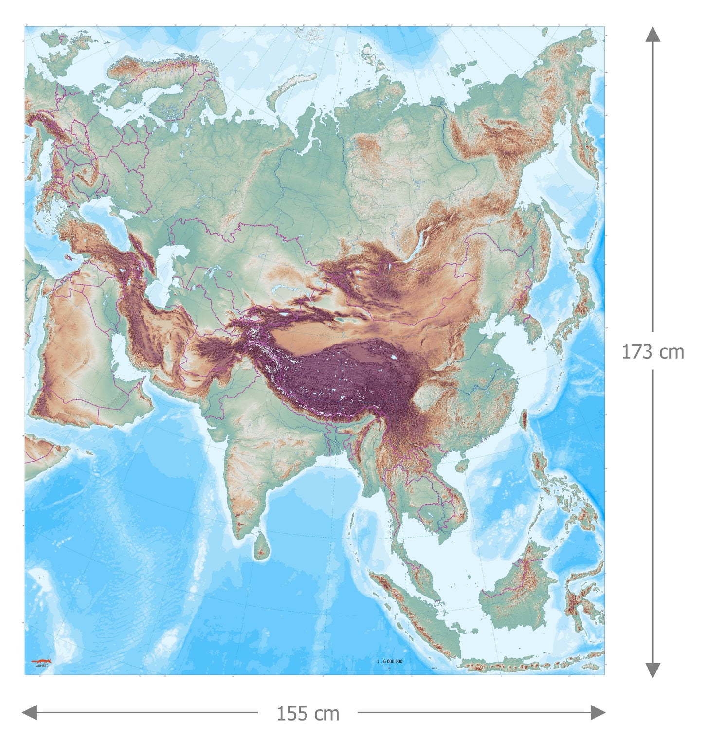 large Asia map used for floor learning in class