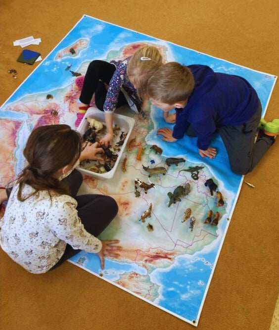 large format map of Africa for group learning