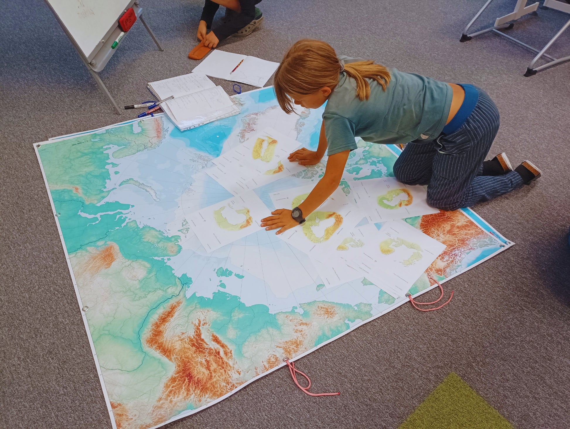 large format map of the Arctic for group learning