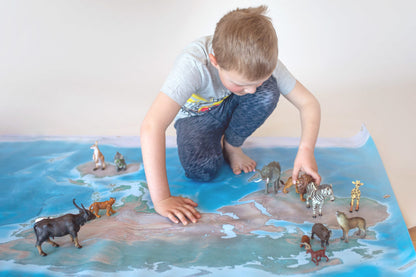 large world map in Montessori style for students