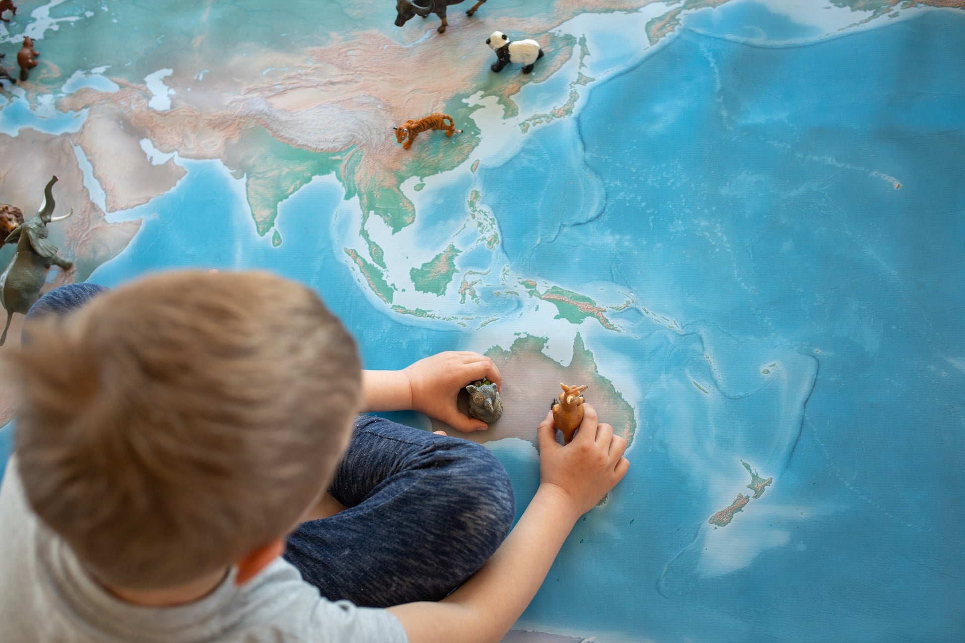 Montessori world map used in classroom for geography